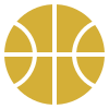 Gold basketball icon with white lines on a translucent background.